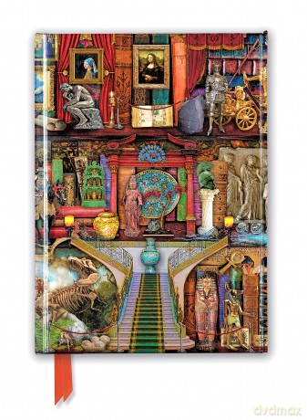 Aimee Stewart: Museum Bookshelves (Foiled Journal) (Flame Tree Notebooks) - Flame Tree Studio [KSIĄŻKA]