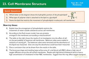A-Level Biology AQA Revision Question Cards: for the 2024 and 2025 exams (CGP AQA A-Level Biology) - CGP Books [KSIĄŻKA]