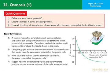 A-Level Biology AQA Revision Question Cards: for the 2024 and 2025 exams (CGP AQA A-Level Biology) - CGP Books [KSIĄŻKA]