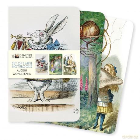 Alice in Wonderland Set of 3 Mini Notebooks (Mini Notebook Collections) - Flame Tree Studio [KSIĄŻKA]