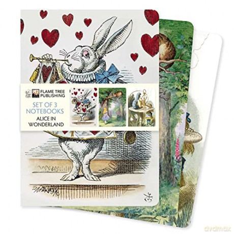 Alice in Wonderland Set of 3 Standard Notebooks (Standard Notebook Collection) - Flame Tree Studio [KSIĄŻKA]