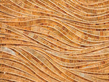 All Natural Gift Wrapping Papers: 6 Sheets of 24 x 18 inch Wrapping Paper: 24 x 18 inch (61 x 45 cm) Wrapping Paper [KSIĄŻKA]
