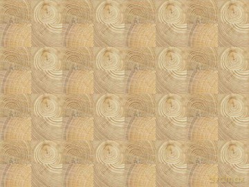 All Natural Gift Wrapping Papers: 6 Sheets of 24 x 18 inch Wrapping Paper: 24 x 18 inch (61 x 45 cm) Wrapping Paper [KSIĄŻKA]