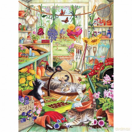 Allotment Kittens 1000 Piece Jigsaw [PUZZLE]