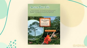 Amazon Rainforest (TIME FOR KIDS(R) Nonfiction Readers) - William B. Rice [KSIĄŻKA]