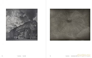 Amor Mundi: The Collection of Marguerite Steed Hoffman - Edited by Gavin Delahunty [KSIĄŻKA]
