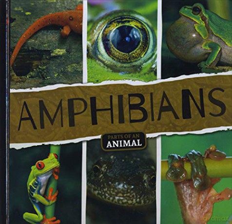Amphibians (Parts of an Animal) - Emilie Dufresne [KSIĄŻKA]