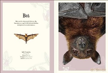 An Anthology of Intriguing Animals Poster Book: With More Than 30 Reversible Tear-Out Posters (DK Children's Anthologies) - Dk [KSIĄŻKA]