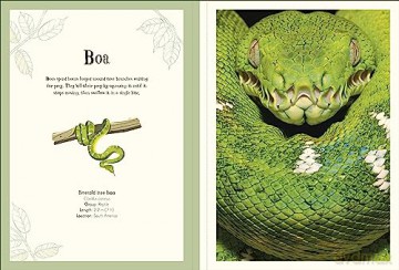 An Anthology of Intriguing Animals Poster Book: With More Than 30 Reversible Tear-Out Posters (DK Children's Anthologies) - Dk [KSIĄŻKA]