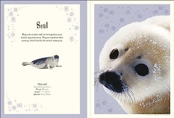 An Anthology of Intriguing Animals Poster Book: With More Than 30 Reversible Tear-Out Posters (DK Children's Anthologies) - Dk [KSIĄŻKA]