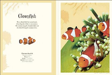 An Anthology of Intriguing Animals Poster Book: With More Than 30 Reversible Tear-Out Posters (DK Children's Anthologies) - Dk [KSIĄŻKA]
