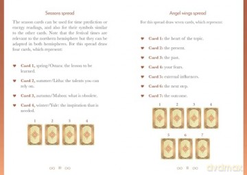 Anamchara Oracle: Be guided by your loving soul companion (Rockpool Oracles) - Saorsa Sionnach [KSIĄŻKA]
