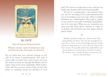 Anamchara Oracle: Be guided by your loving soul companion (Rockpool Oracles) - Saorsa Sionnach [KSIĄŻKA]