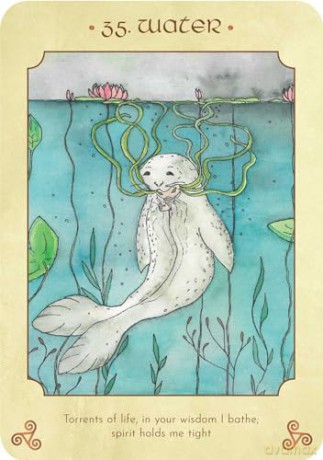 Anamchara Oracle: Be guided by your loving soul companion (Rockpool Oracles) - Saorsa Sionnach [KSIĄŻKA]