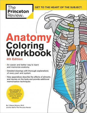 Anatomy Coloring Workbook (Coloring Workbooks): An Easier and Better Way to Learn Anatomy - Michelle Magorian [KSIĄŻKA]