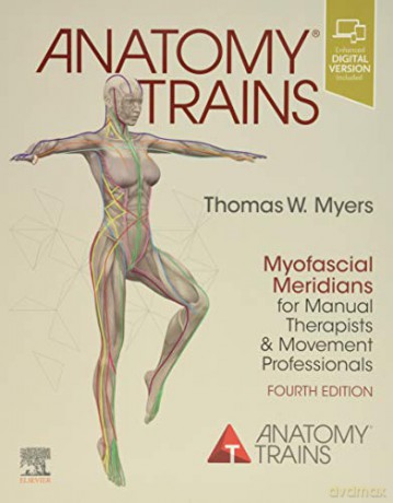 Anatomy Trains: Myofascial Meridians for Manual Therapists and Movement Professionals - Thomas W. Myers [KSIĄŻKA]