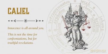 Angel of the Day (Rockpool Mini Cards) - Travis McHenry [KSIĄŻKA]