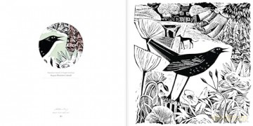 Angela Harding Colouring Book: Make Your Own Art Masterpiece (Colouring Books) - Angela Harding [KSIĄŻKA]