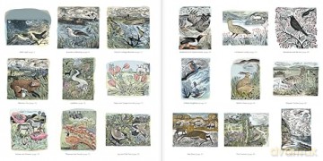 Angela Harding Colouring Book: Make Your Own Art Masterpiece (Colouring Books) - Angela Harding [KSIĄŻKA]