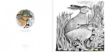 Angela Harding Colouring Book: Make Your Own Art Masterpiece (Colouring Books) - Angela Harding [KSIĄŻKA]