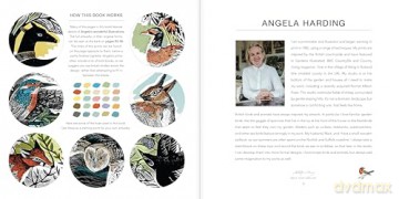 Angela Harding Colouring Book: Make Your Own Art Masterpiece (Colouring Books) - Angela Harding [KSIĄŻKA]