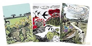 Angela Harding Set of 3 Standard Notebooks (Standard Notebook Collection) - Flame Tree Studio [KSIĄŻKA]