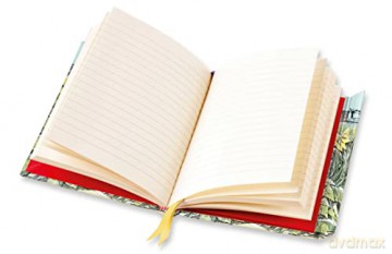 Angela Harding: Look Out! (Foiled Journal) (Flame Tree Notebooks) - Flame Tree Studio [KALENDARZ]