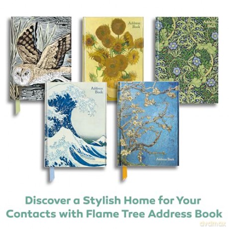 Angela Harding: Marsh Owl (Address Book) (Flame Tree Address Books) - Flame Tree Studio [KSIĄŻKA]
