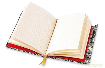 Angela Harding: Marsh Owl (Foiled Journal) (Flame Tree Notebooks) - Flame Tree Studio [KALENDARZ]