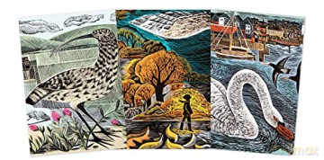 Angela Harding: Wildlife Set of 3 Midi Notebooks (Midi Notebook Collections) - Flame Tree Studio [KSIĄŻKA]