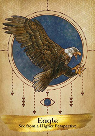Angels and Ancestors Oracle Cards: A 55-Card Deck and Guidebook - Kyle Gray [KSIĄŻKA]