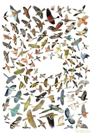 Animal Box Postcards: 100 Postcards by 10 Artists - Princeton Architectural Press [KALENDARZ]