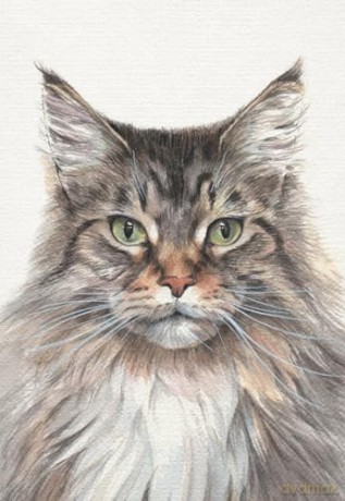 Animal Box Postcards: 100 Postcards by 10 Artists - Princeton Architectural Press [KALENDARZ]