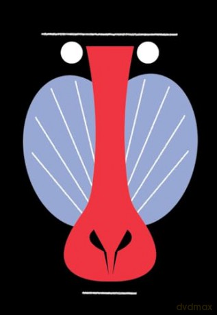 Animal Box Postcards: 100 Postcards by 10 Artists - Princeton Architectural Press [KALENDARZ]