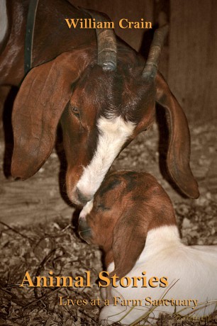 Animal Stories: Lives at a Farm Sanctuary - William Crain [KSIĄŻKA]