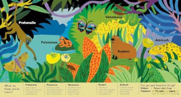 Animal Words for Little Zoologists: 100 Interesting Words (Little Word Whizz) - Will Millard [KSIĄŻKA]