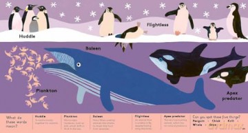 Animal Words for Little Zoologists: 100 Interesting Words (Little Word Whizz) - Will Millard [KSIĄŻKA]