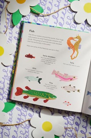 Animal Words for Little Zoologists: 100 Interesting Words (Little Word Whizz) - Will Millard [KSIĄŻKA]