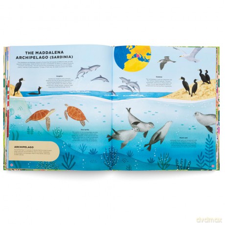 Animals Everywhere: Animal Habitats Around the World - Mia Cassany [KSIĄŻKA]