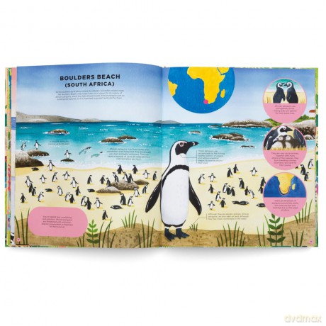 Animals Everywhere: Animal Habitats Around the World - Mia Cassany [KSIĄŻKA]