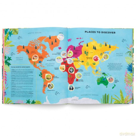 Animals Everywhere: Animal Habitats Around the World - Mia Cassany [KSIĄŻKA]