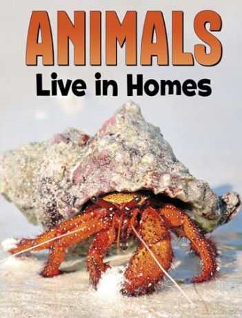 Animals Live in Homes (Animal Societies) - Nadia Ali [KSIĄŻKA]