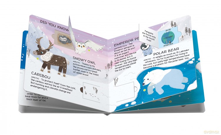 Animals to Save - Polar Ice - j. Martinello [KSIĄŻKA]