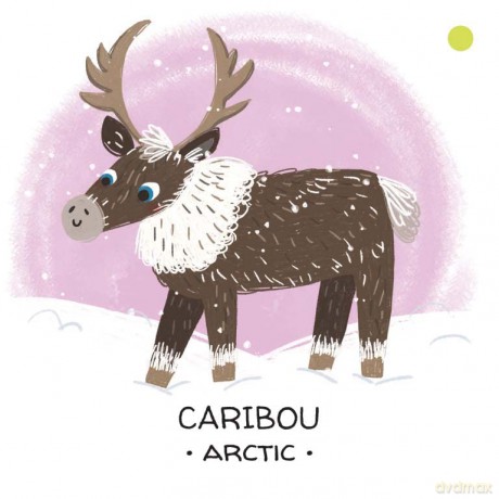 Animals to Save - Polar Ice - j. Martinello [KSIĄŻKA]