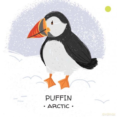 Animals to Save - Polar Ice - j. Martinello [KSIĄŻKA]