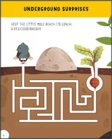 Animals: Awesome GAMES and FACTS for hours of engaging FUN! (Fun + Facts Activity Book) - Illustrated by Carolina Grosa [KSIĄŻKA]