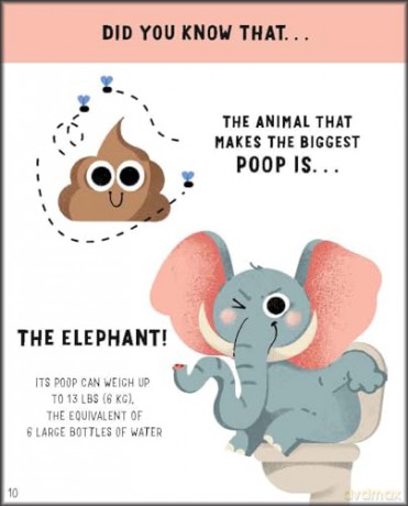 Animals: Awesome GAMES and FACTS for hours of engaging FUN! (Fun + Facts Activity Book) - Illustrated by Carolina Grosa [KSIĄŻKA]