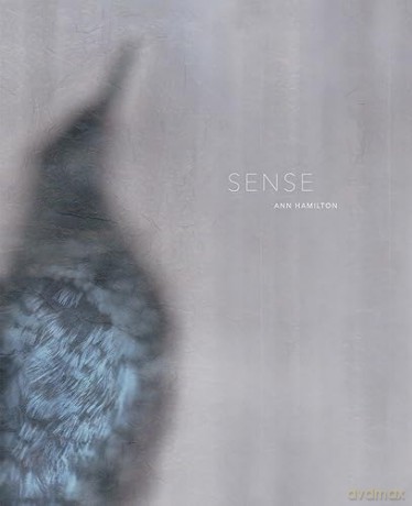 Ann Hamilton: Sense - Ann Hamilton [KSIĄŻKA]