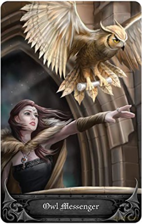 Anne Stokes Gothic Oracle - Anne Stokes [KSIĄŻKA]
