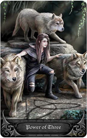 Anne Stokes Gothic Oracle - Anne Stokes [KSIĄŻKA]